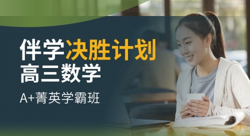 2025高三清北伴学决胜计划-数学系统班（百日冲刺）